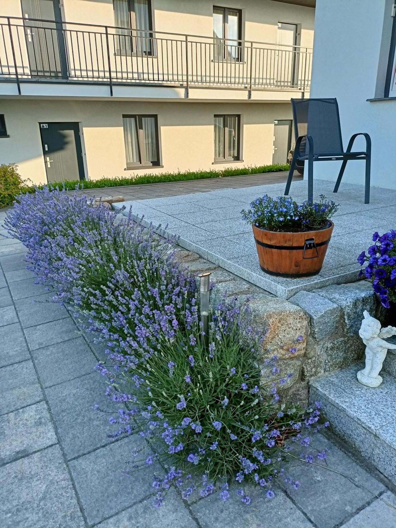 Apartamenty Jasienczyk Mielenko Exterior photo